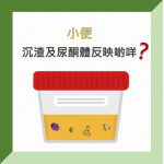 小便沉渣及尿酮體反映啲咩